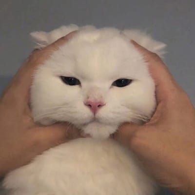 Phạm Đình Bảo avatar