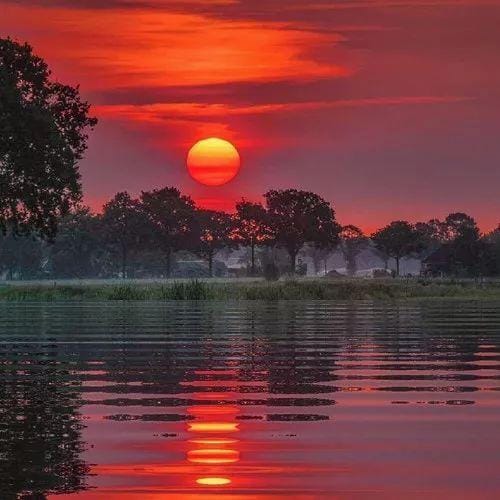 Lê Hoàng Bách avatar